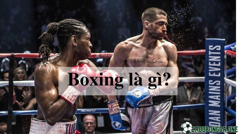 Boxing(Quyền anh) là gì?