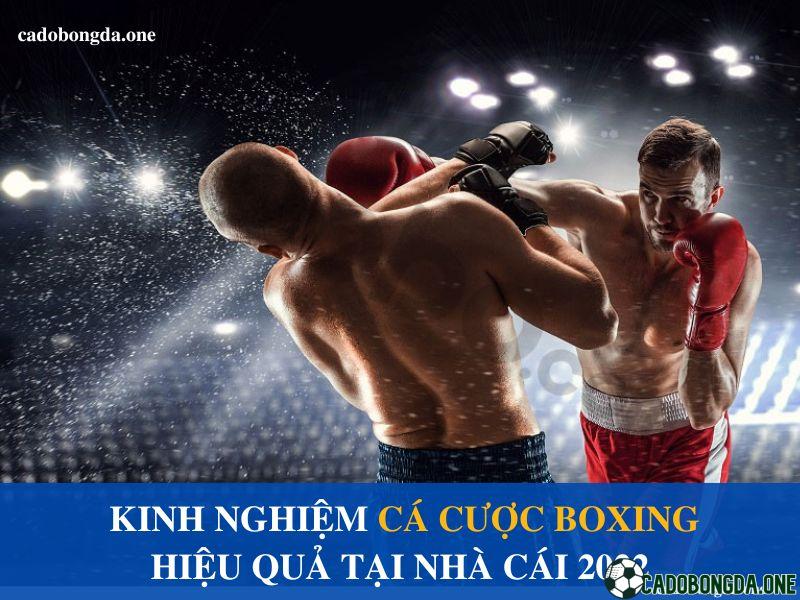 Cá cược boxing là gì? Luật và thể loại kèo đặt cược quyền anh tại nhà cái