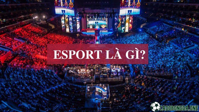 Esport là gì? Esport gồm những trò nào?