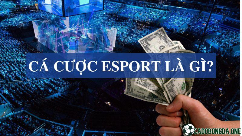 Cá độ Esport là gì?