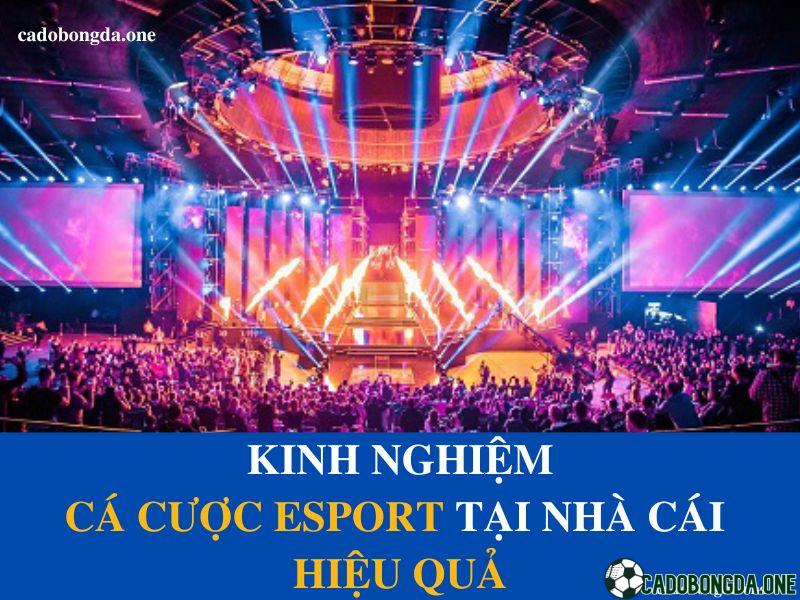 Các hình thức cược esport phổ biến tại nhà cái