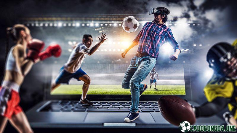 BTI Sportsbook cung cấp cá cược những bộ môn thể thao nào?