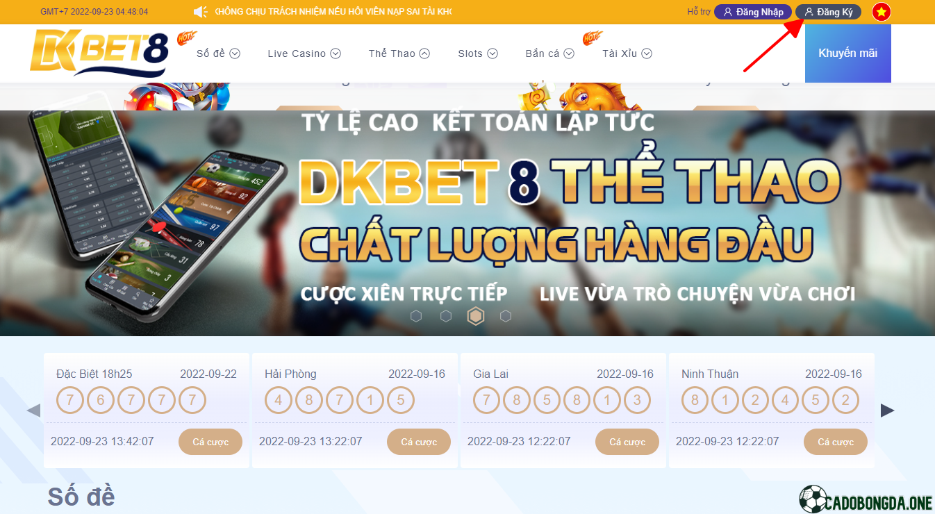 DKbet8: cá độ bóng đá uy tín không ? Link vào mới nhất