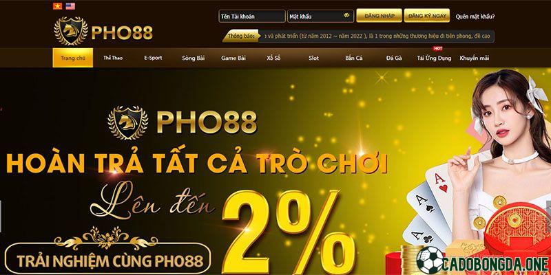 PHO88: web đặt cược bóng đá uy tín không ? Link vào mới nhất