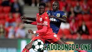 dự đoán Adelaide với Central Coast Mariners