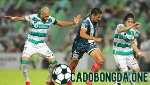 soi kèo Santos Laguna vs Monterrey