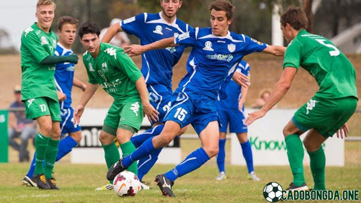 Melbourne Knights cùng Port Melbourne Sharks