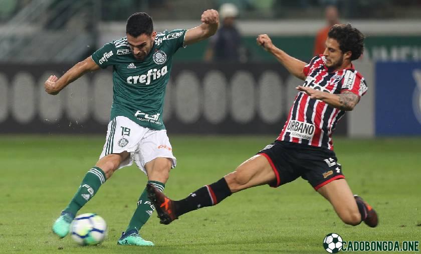 dự đoán Bahia cùng Palmeiras