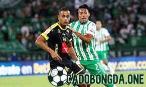 dự đoán Alianza Petrolera vs Atletico Nacional