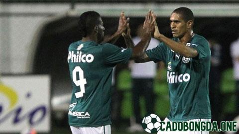 soi kèo Goias cùng Gremio