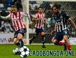 soi kèo San Luis vs Monterrey