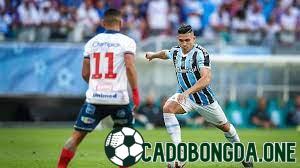 dự đoán Bahia với Gremio