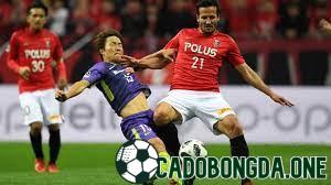 Shonan Bellmare cùng Urawa Red Diamonds